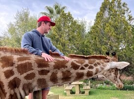 Giraffe sanctuary