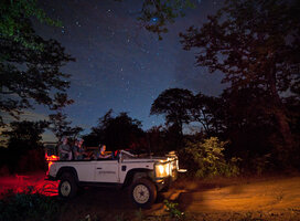 Safari vehicle night