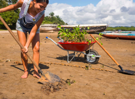 Environmental Education and Conservation