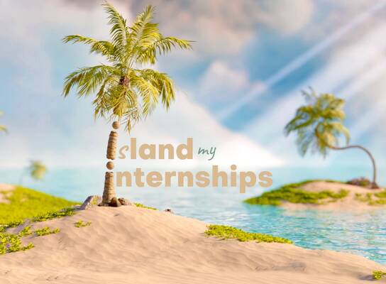 Island Internship and Island Life