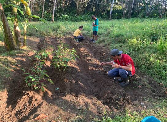 Permaculture