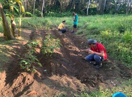 Permaculture