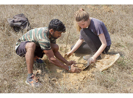 Planting trees in India