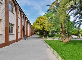 Our school