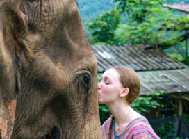 Connection with wildlife