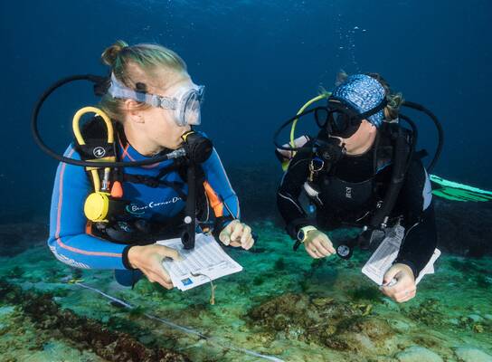 Completing a coral survey from Nusa Lembongan, Bali, Indonesia