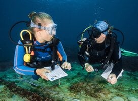 Completing a coral survey from Nusa Lembongan, Bali, Indonesia