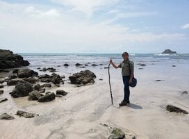 beach cleaning