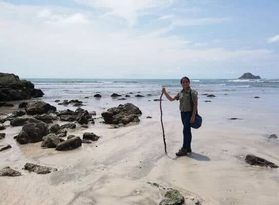 beach cleaning