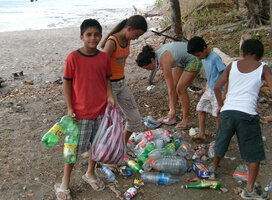 beach cleaning