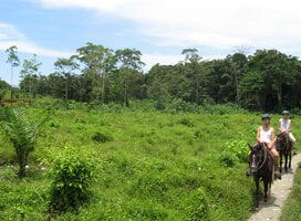 horse back tour in the rainforest