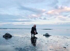 Sea Turtle Conservation