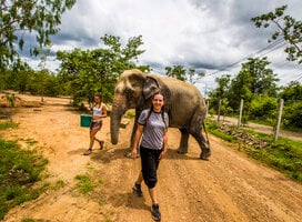 Elephant Sanctuary