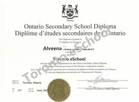 Ontario Secondary School Diploma - OSSD