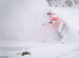 Japow!