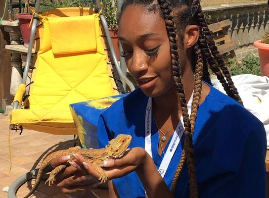 Doctors in Italy Fellowship | VetMed Shadowing in Italy
