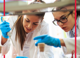 Students conducting experiments in the lab.