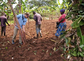 Volunteer Planting Tress in a local village