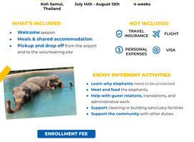 Program flyer