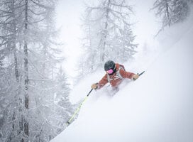 powder skiing in the trees