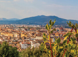 Panorama of Florence