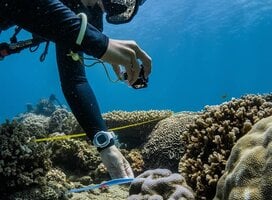 Benthic Research