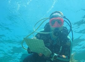 Diver surveying coral health