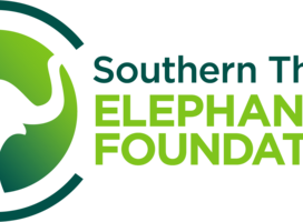 STEF logo