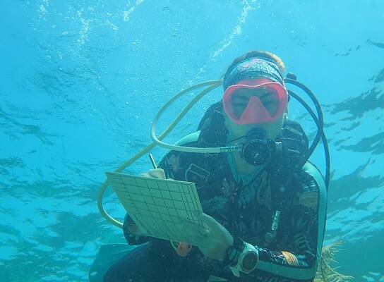 Diver surveying coral health
