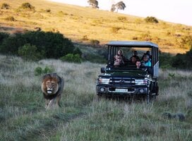Game ranger skills in South Africa 