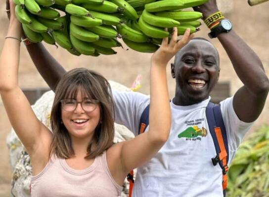 Organic farming