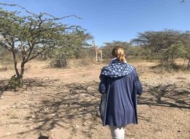 wildlife project
