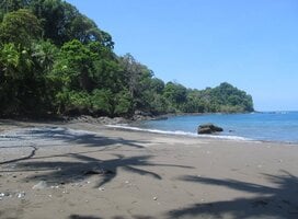 Beach, low tide