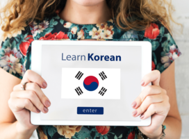 SGA - Study abroad in South Korea: from Language Course to Permenent Residence.