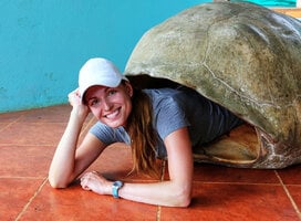 Galapagos Tortoise Shell Size