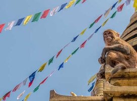Nepal: Traditions of the Himalayas