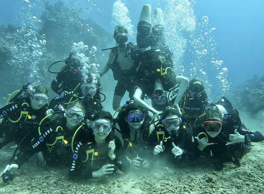 Explore the world underwater with new friends