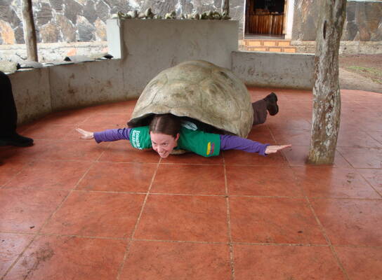 Giant turtle