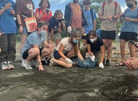 Students on beach clearing room for turtles