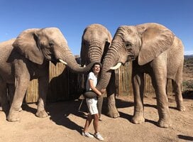 exchange student enjoying time with wild elephants in Africa
