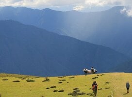 india semester abroad