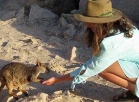 Gap Year Aus - Quokka Perth