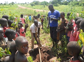 Ladder Ministries guiding OVCs on tree planting and maintainence 