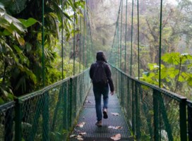 Person walking on a canopy in Costa Rican rainforest