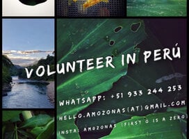 info flyer 