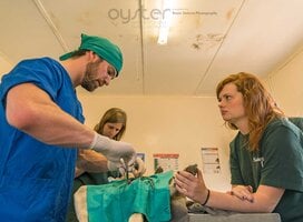 Operation Room
