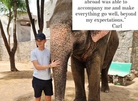 Animal care Internship in India 