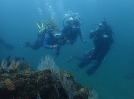 a group poses for a photo in the water  
