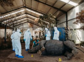 Students surrounding educator during rhino mock wildlife crime scene demonstration at the WFA facility