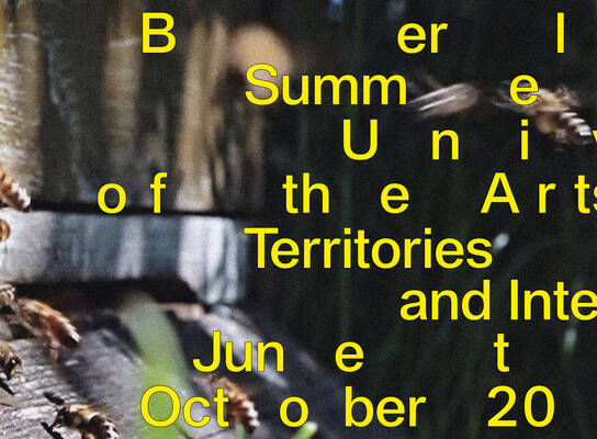 Berlin Summer University of the Arts poster